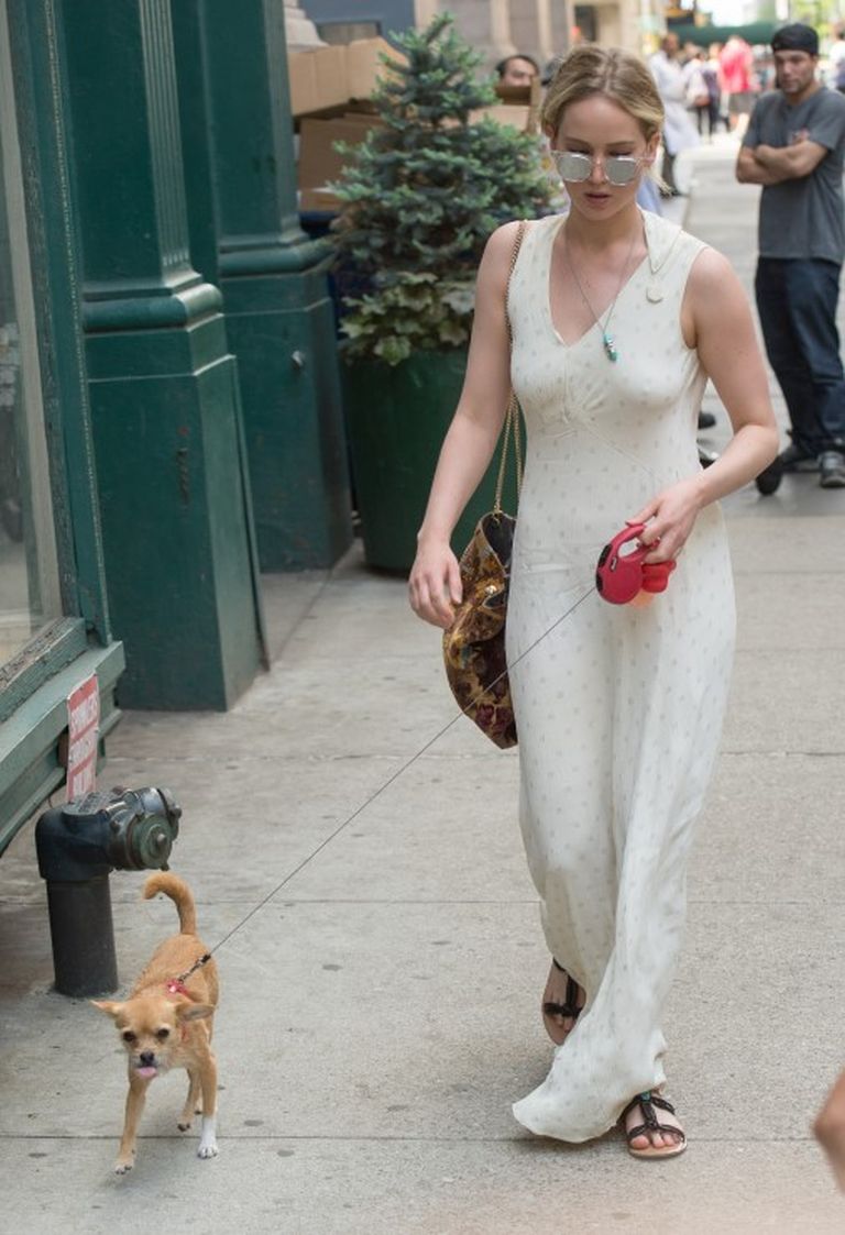 Дженнифер Лоуренс с собачкой на прогулке в Нью-Йорке 