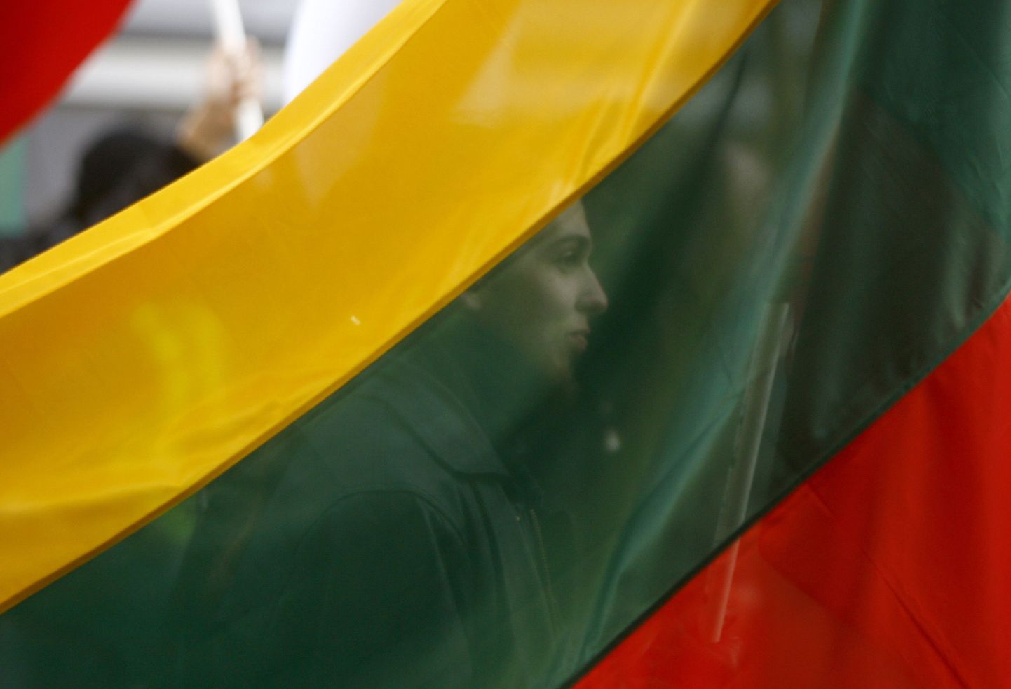 Флаг Литвы. Иллюстративное фото