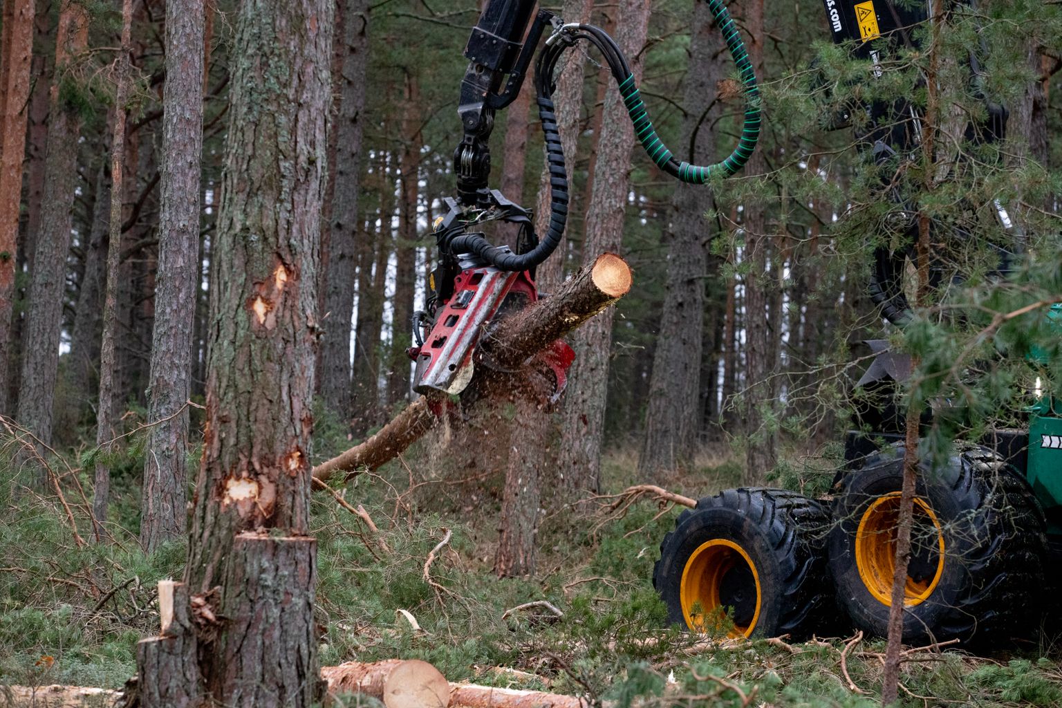 Soome eesmärk on 2035. aastaks süsinikuneutraalseks saada, seda suuresti nn ringse biomajanduse kaudu.