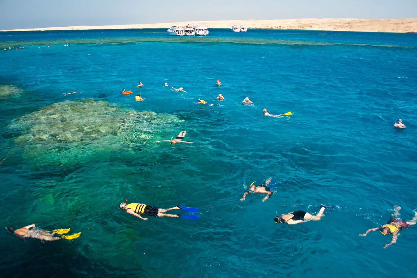 Sharm el Sheikhis on ujumine ja veesport turiste rünnanud hai tabamiseni keelatud.