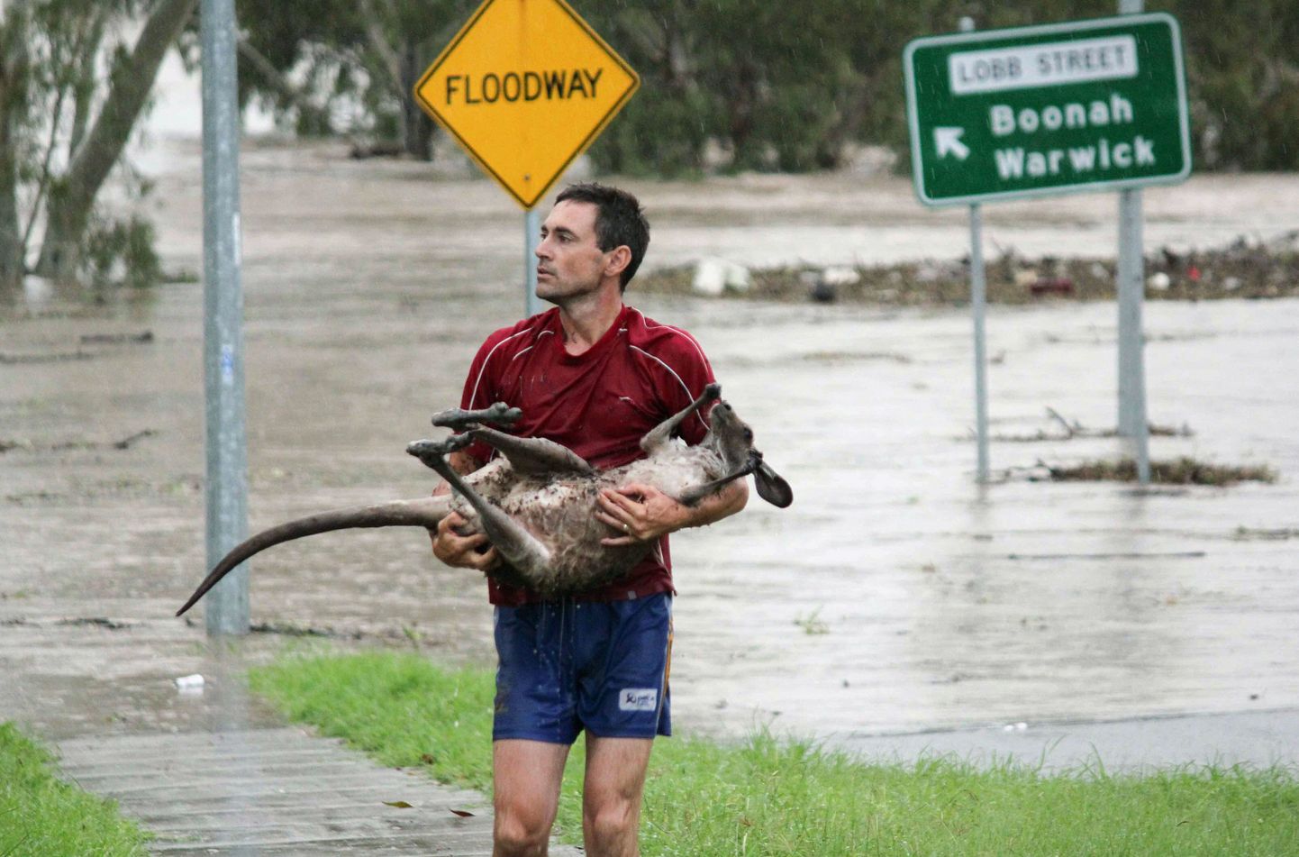 Austraalias kehtestati ajutine üleujutusmaks