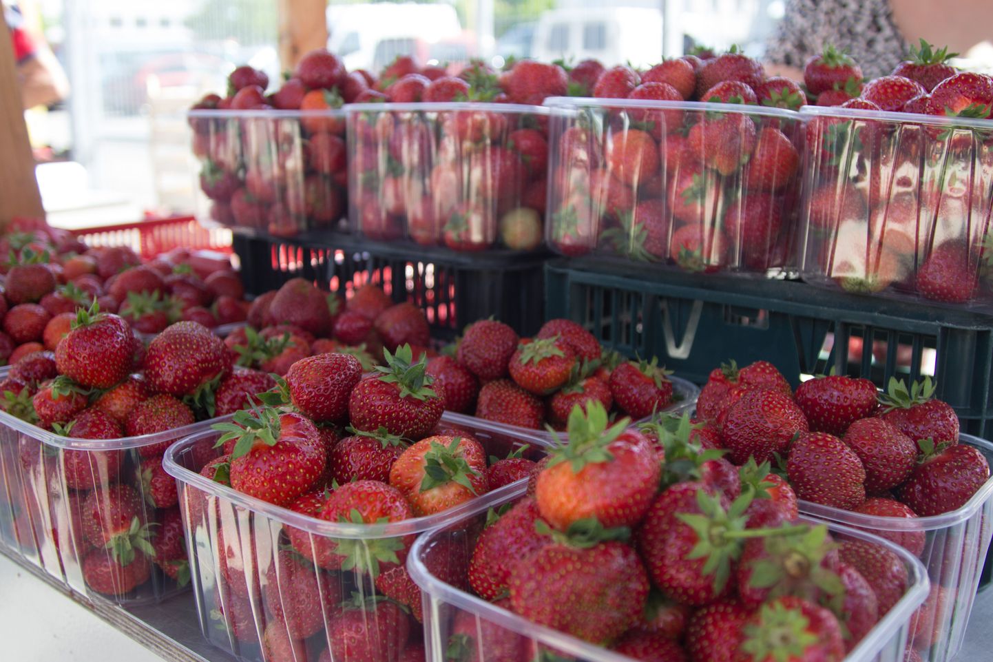 Maasikad Viljandi turul. Pilt on tehtud varasemast turulkäigust.