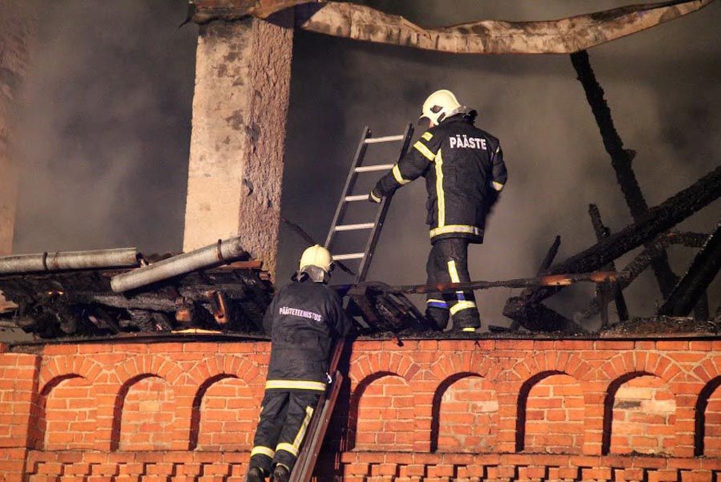 Päästjad tõid Viljandis Tartu tänaval põlenud majast tervena välja seitse inimest, kolm kassipoega ja papagoi.