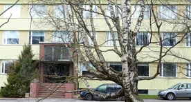 Metsainstituuti tasubki nostalgiliselt mäletada