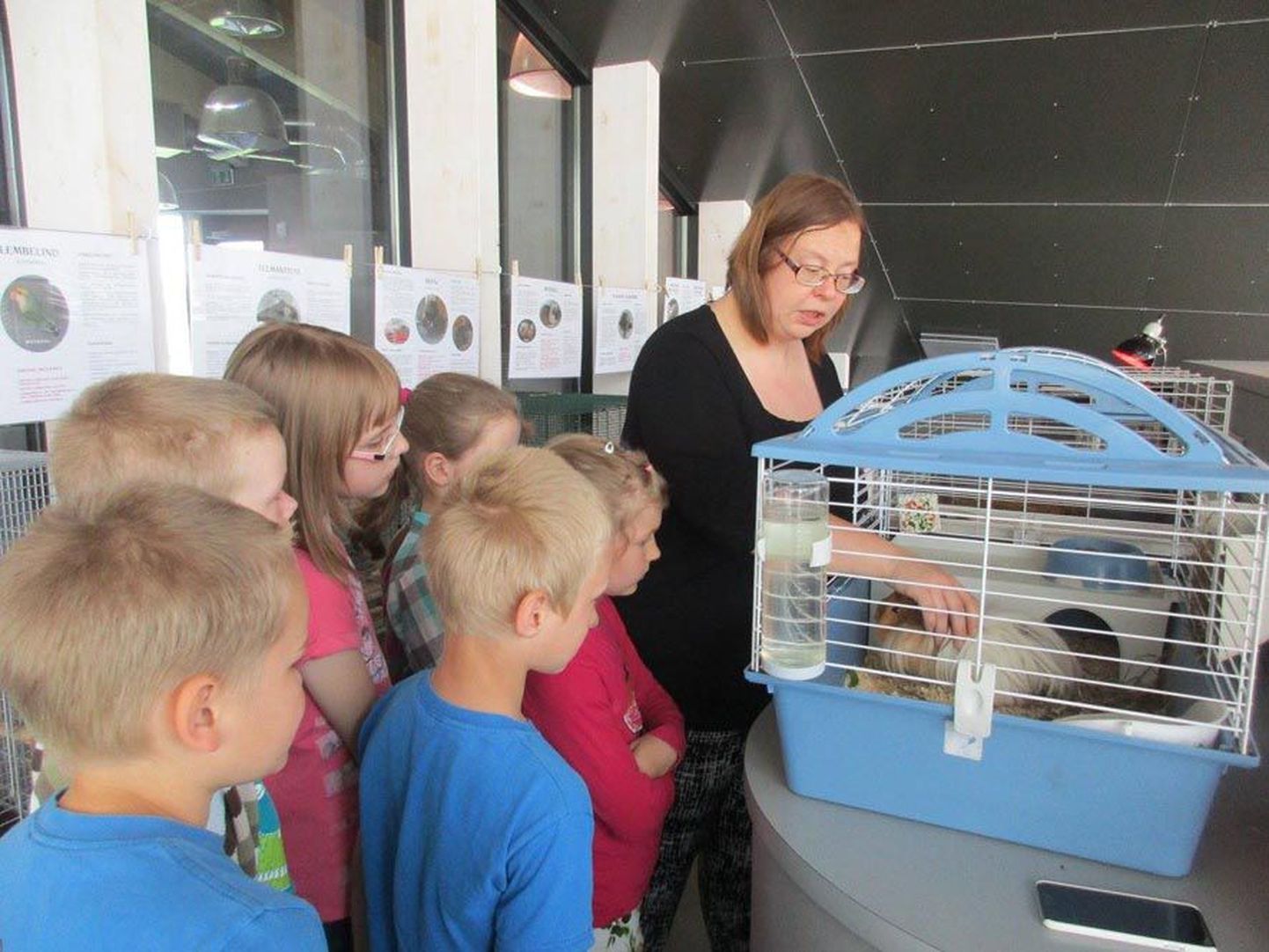 Aravete keskkooli I–III klasside lapsed käisid sellel nädalal ekskursioonil Pärnus, kus külastati ka Pernova loodusemaja.