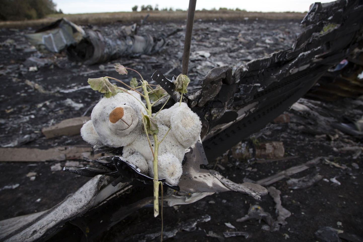 Malaysia Airlines lennu MH17 õnnetuspaik Ida-Ukrainas Hrabovo lähistel