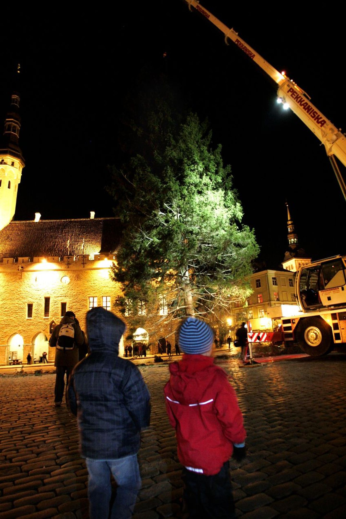 Tallinna jõulukuuse teekond Raekoja platsi