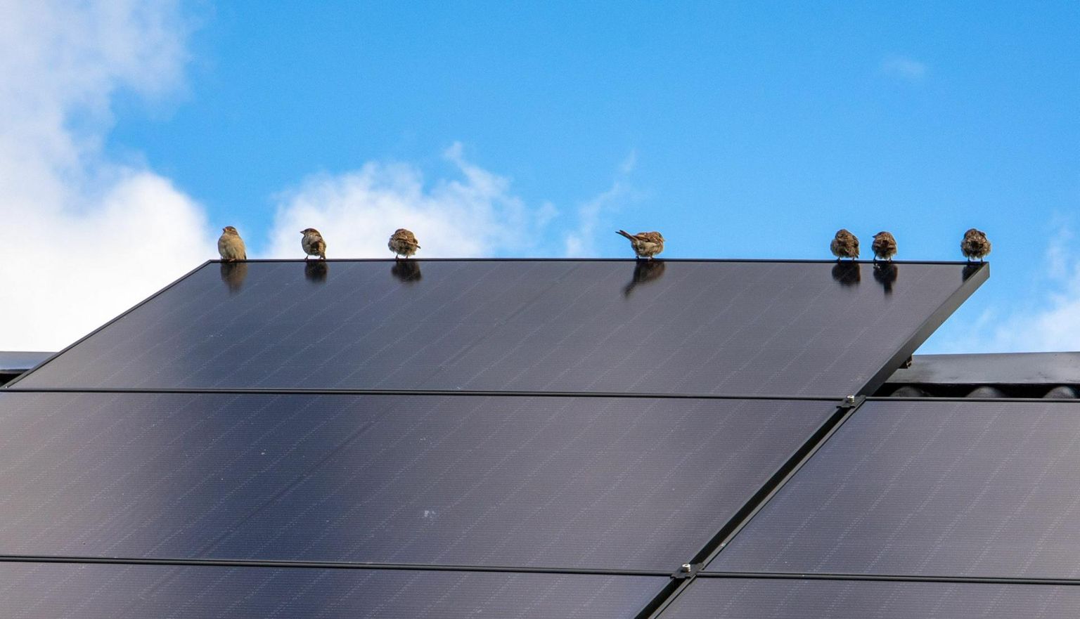 Elektrimüüjate salajane hinnatõus ajab klientidel kopsu üle maksa.