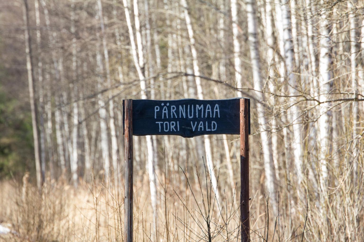 Silt “Pärnumaa, Tori vald”.