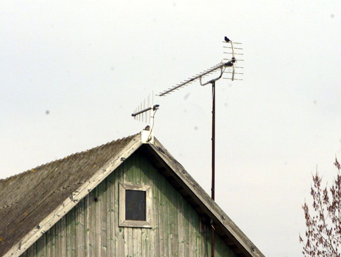 Alates neljapäevast on teleri vaatamiseks tavalisele katuseantennile lisaks vaja ka digiboksi.
