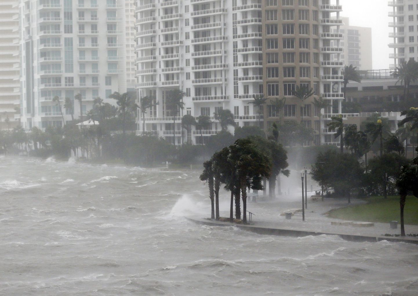Orkaan Irma Miamis
