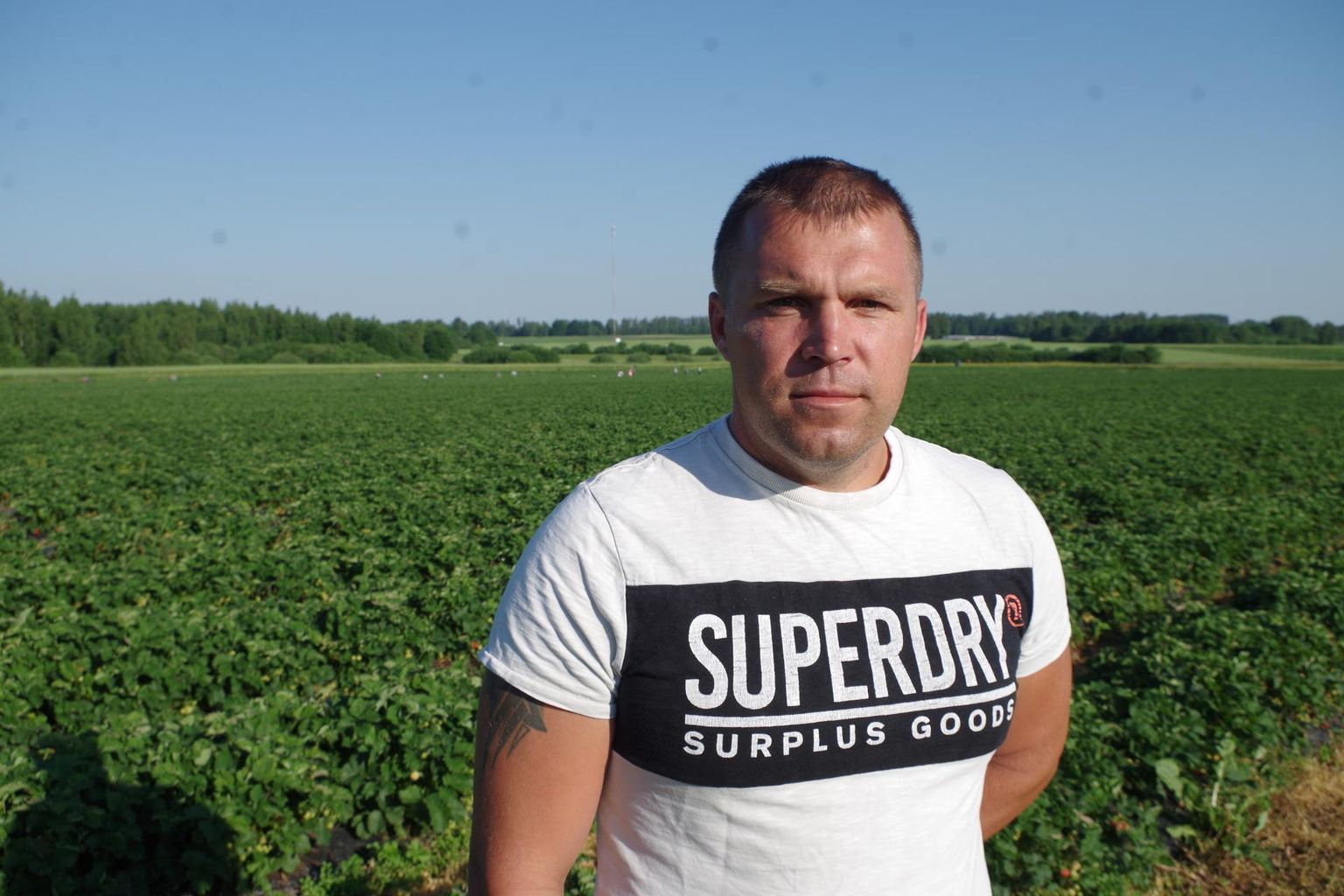 Põlvamaal Ahjal maasikakasvatusega tegeleva Tasuja talu peremees Toomas Lillo tunneb Ukraina tööliste järele suurt puudust.