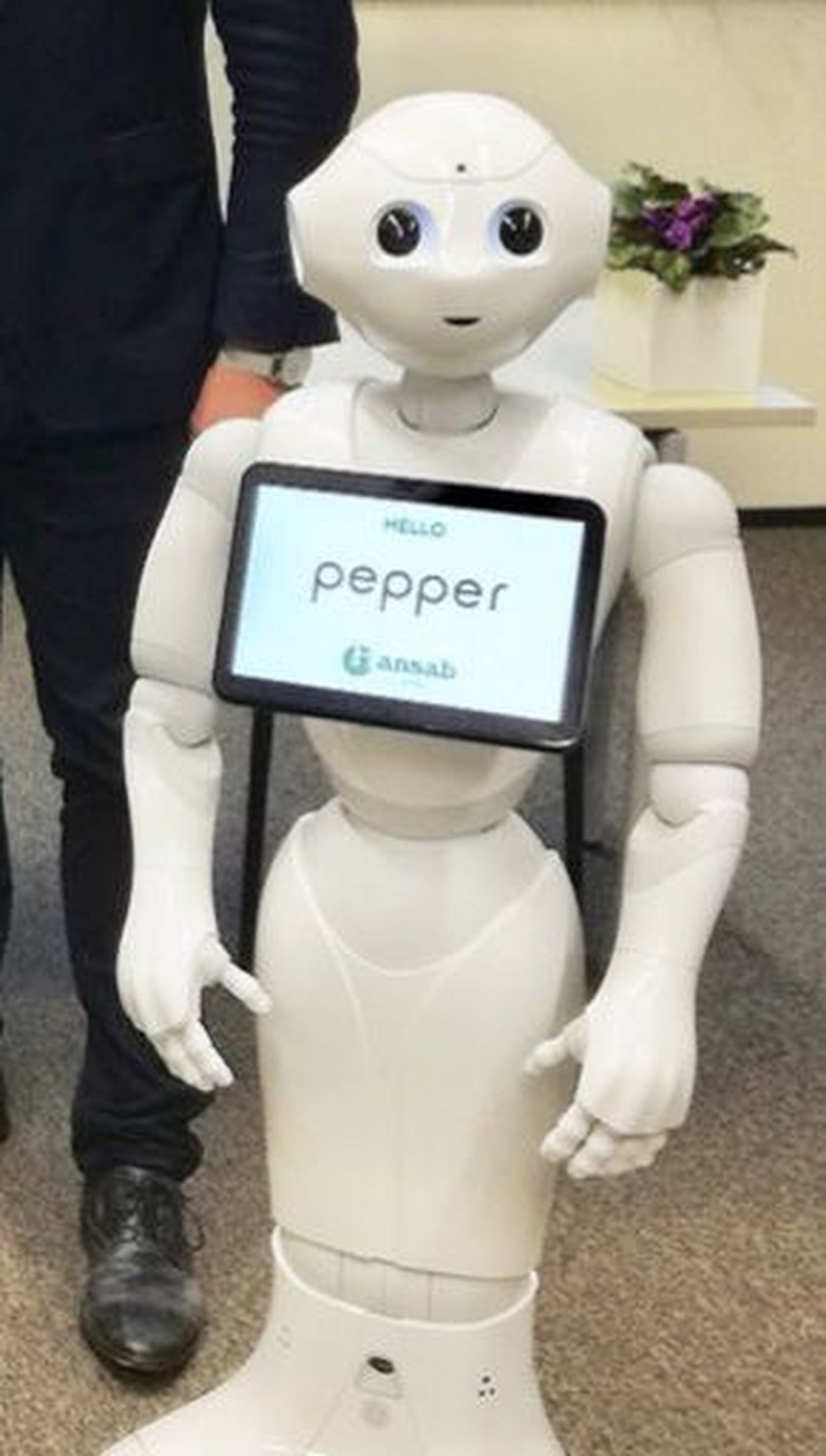 Humanoidrobot Pepper ootab Rehbinderi majas külalisi.