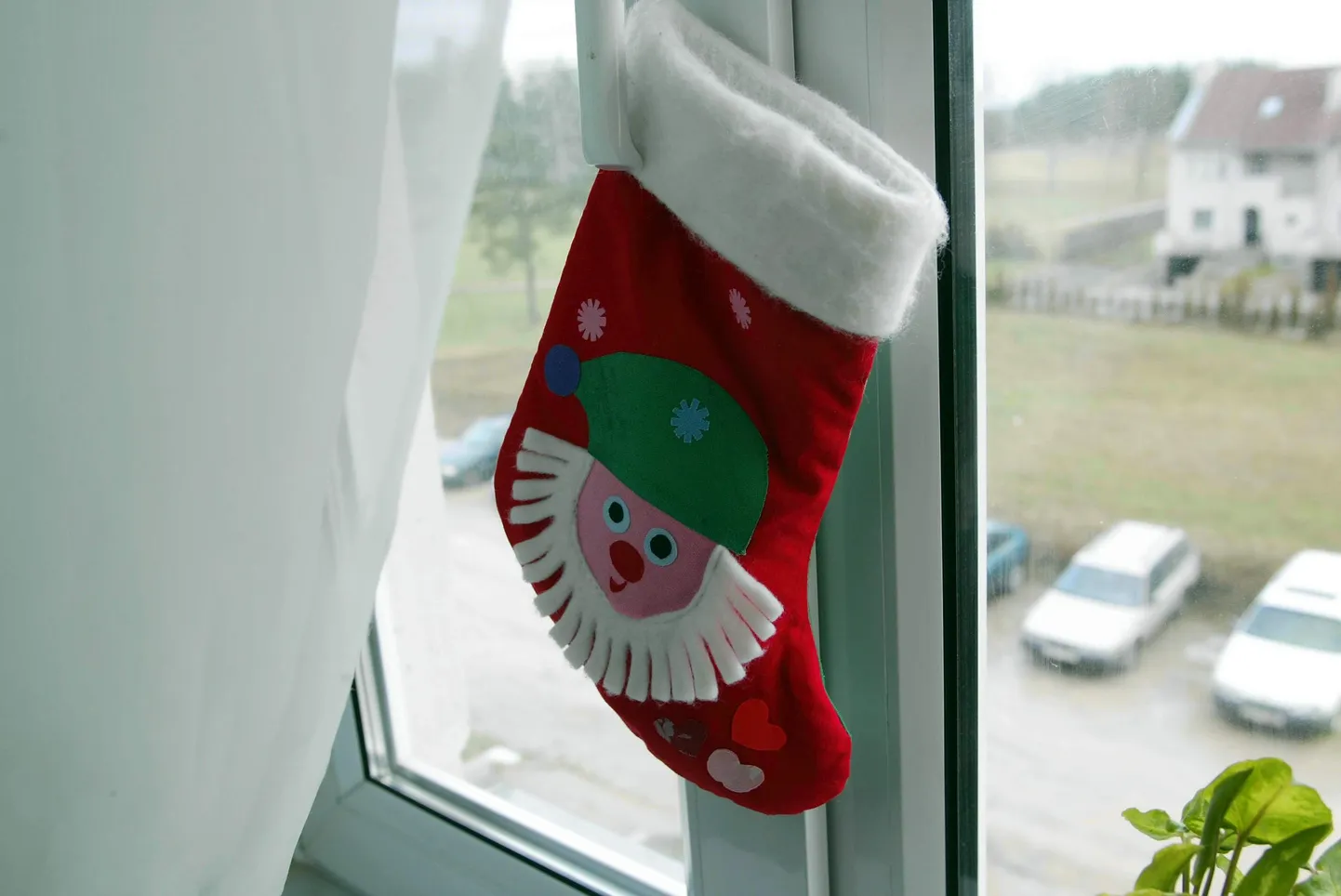 Päkapikususs.