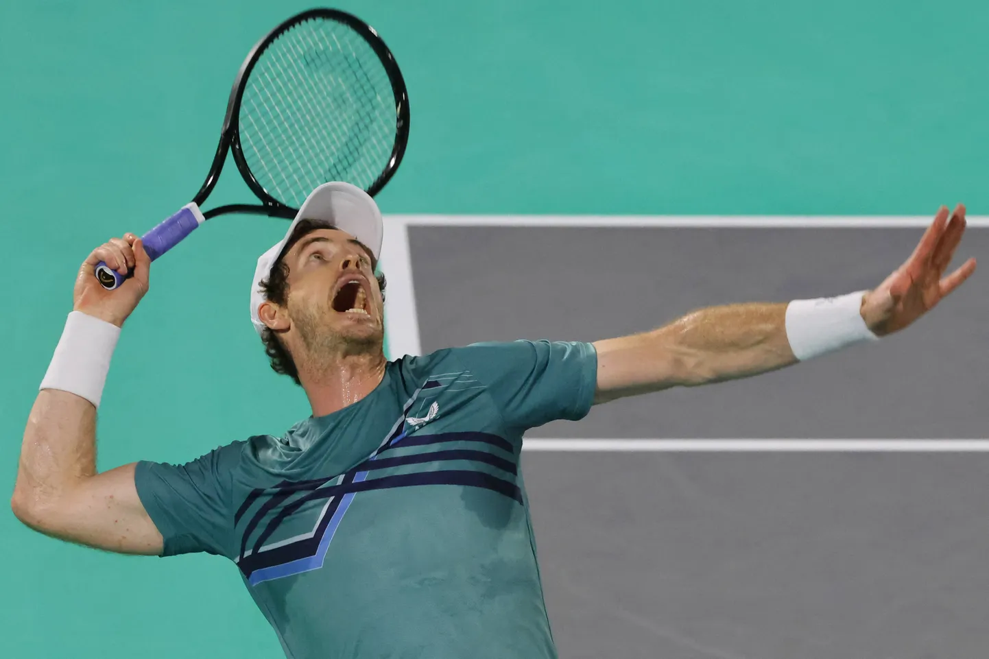Andy Murray.