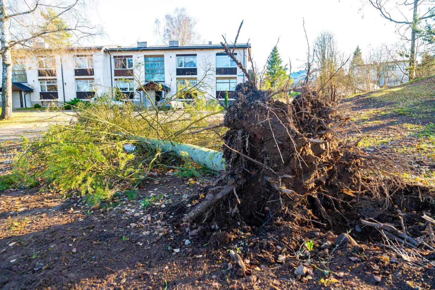 Tormijärgne hommik Valga- ja Põlvamaal FOTO: Arvo Meeks/Lõuna-eesti Postimees