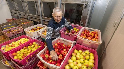 Eestlane ei tee koostööd ja selle pärast on meie õun kallis