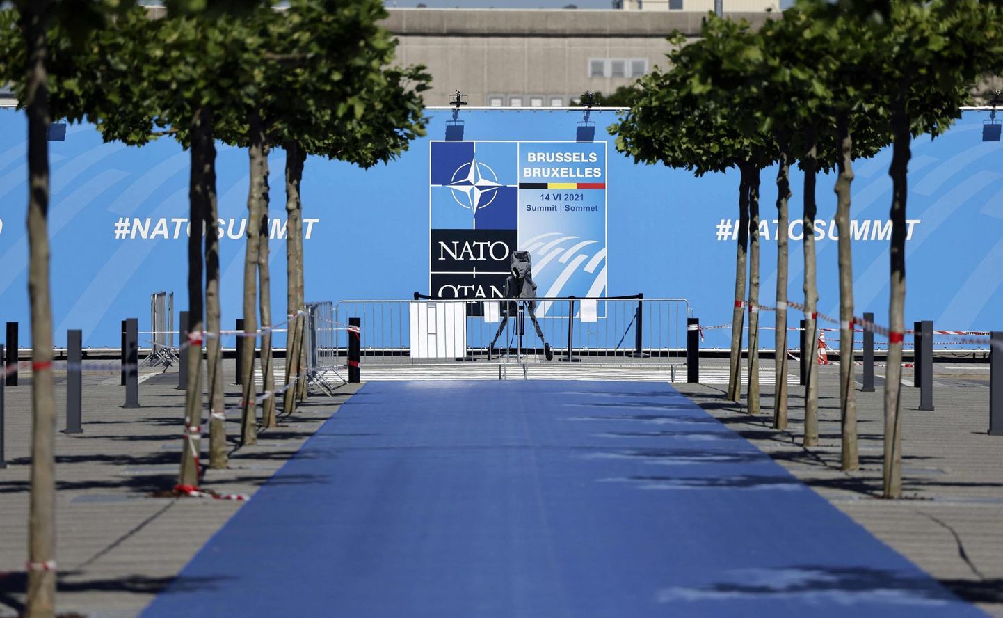 Sinine vaip, mida mööda NATO liikmesmaade liidrid täna alliansi peakorterisse tippkohtumisele kõnnivad. FOTO: Thomas Coex/AFP/Scanpix