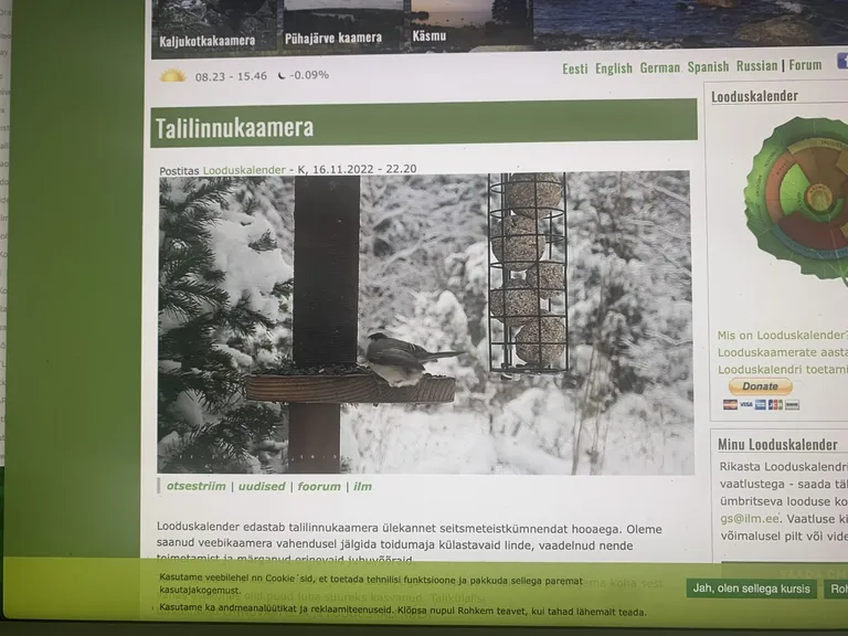 Looduskalendri linnukaamera.