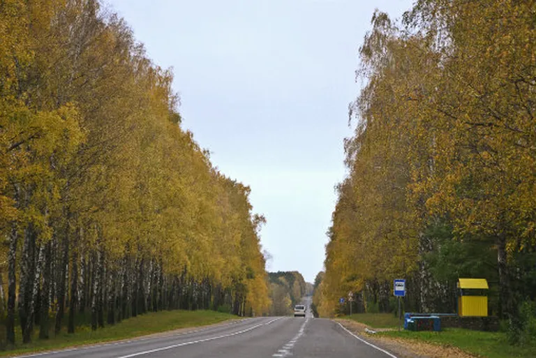 Фото статьи