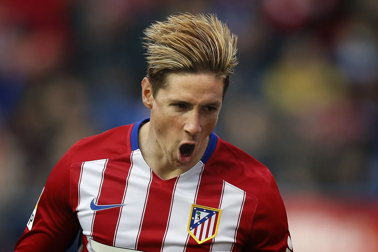 Fernando Torres