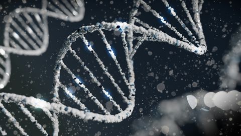 Ennekuulmatu: bakteris moodustub uus DNA ilma DNA osaluseta