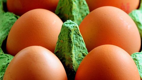 Еврокомиссия созывает экстренное совещание из-за зараженных яиц
