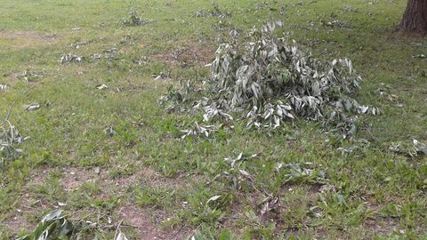 Tormituuled põhjustasid elektrikatkestusi neljas maakonnas