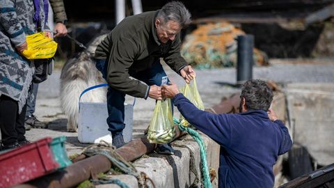 Avatud kalasadamate korraldajad ootavad head ilma ja kalaõnne