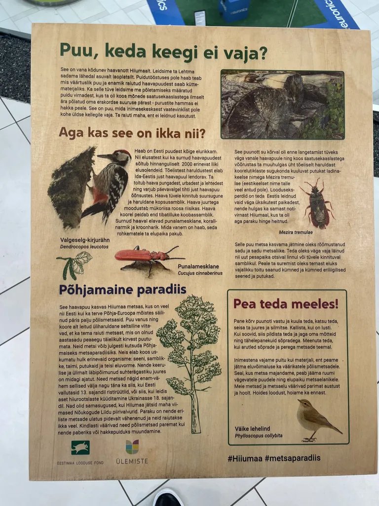 Infotahvel.