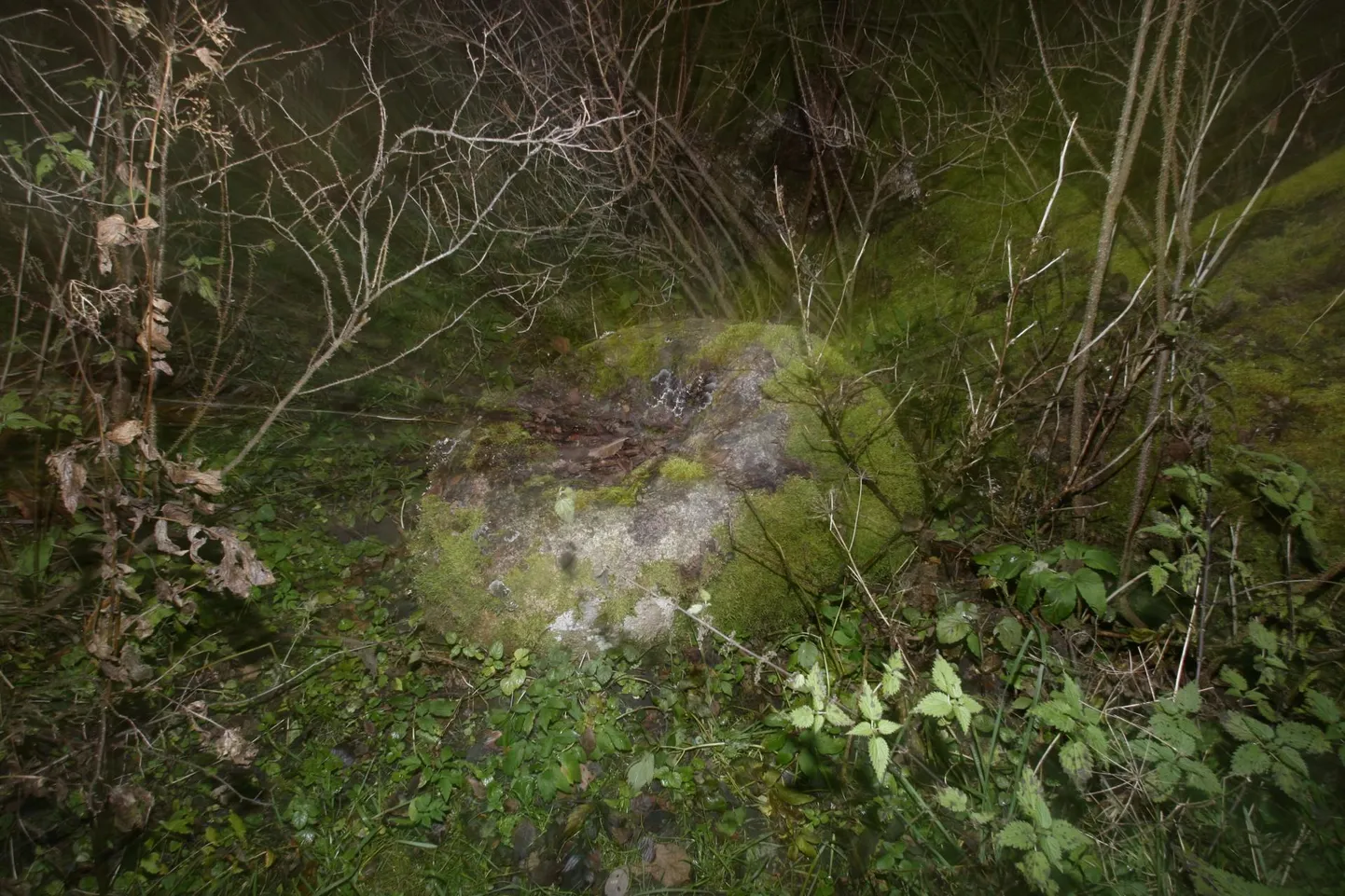 Ohvrikivi.