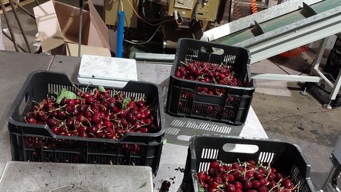 PVD apturējis nelegālas pārtikas noliktavas darbību Rīgā