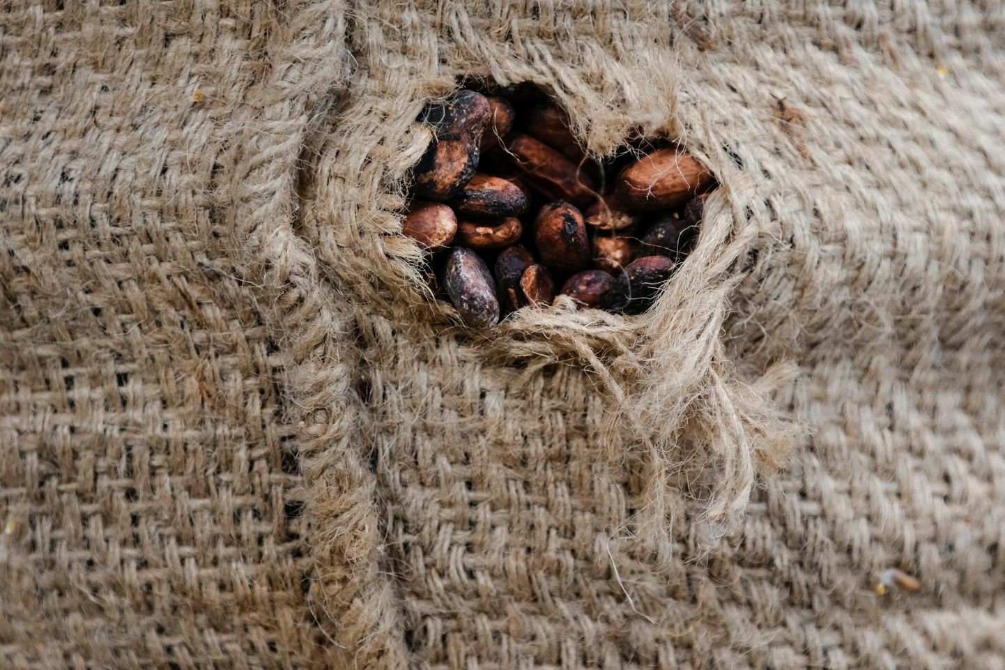 Kakao hind tooraineturul on kolme aastaga 200 protsenti.