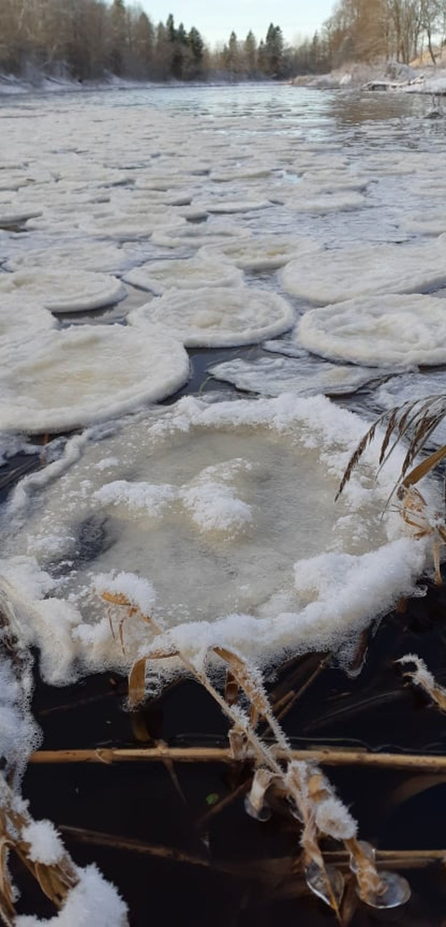 Esimeste pakastega tekkisid  Eesti jõgedele ümarad jäätükid