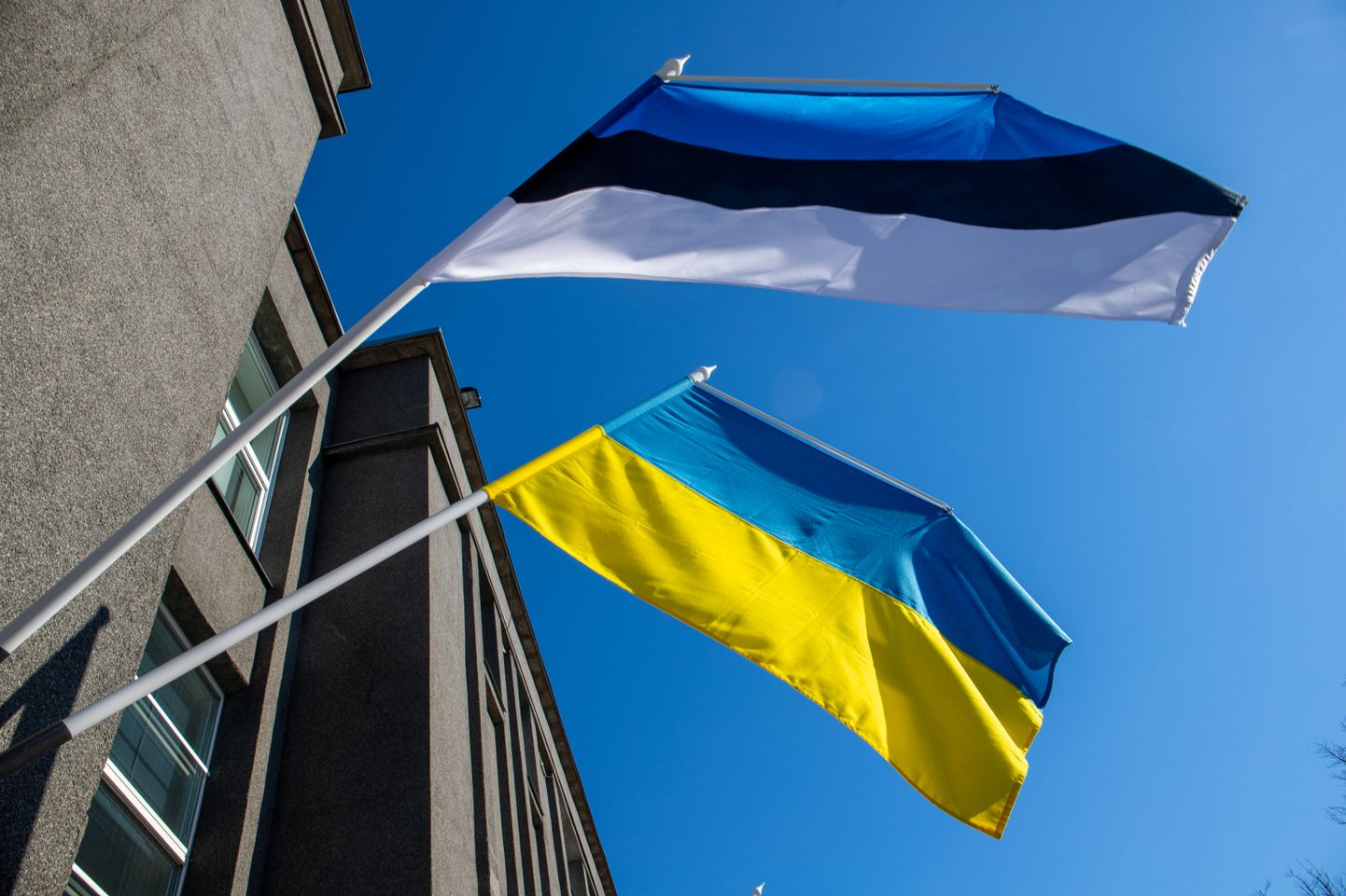 Ukraina ja Eesti lipp.