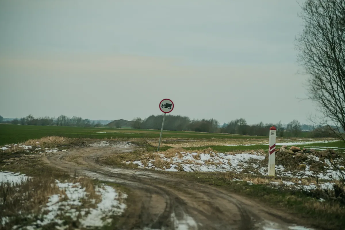 Фото статьи