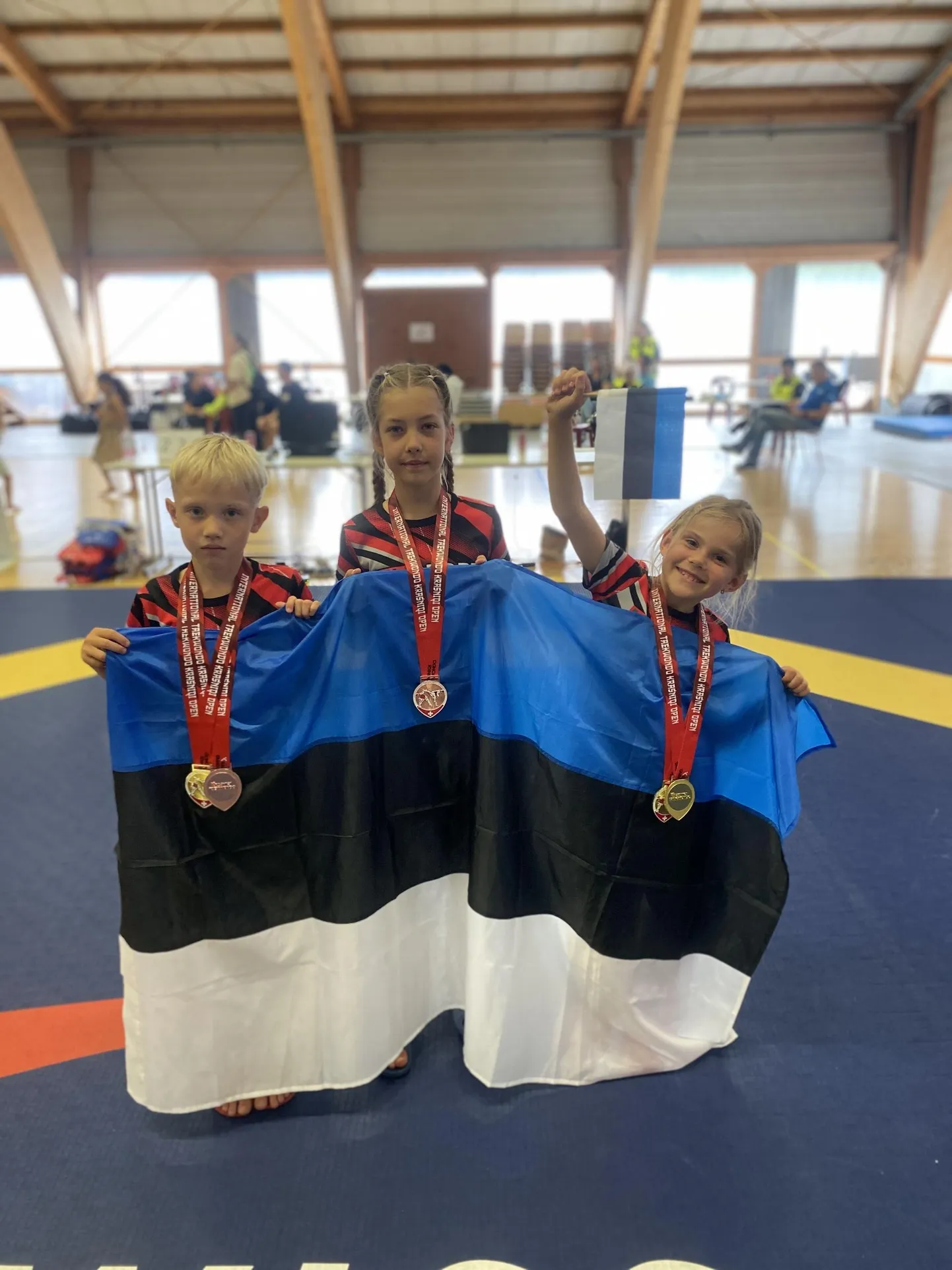 Noored Lääne-Virumaa taekwondo'kad esindasid kodumaad Šveitsis toimunud turniiril.