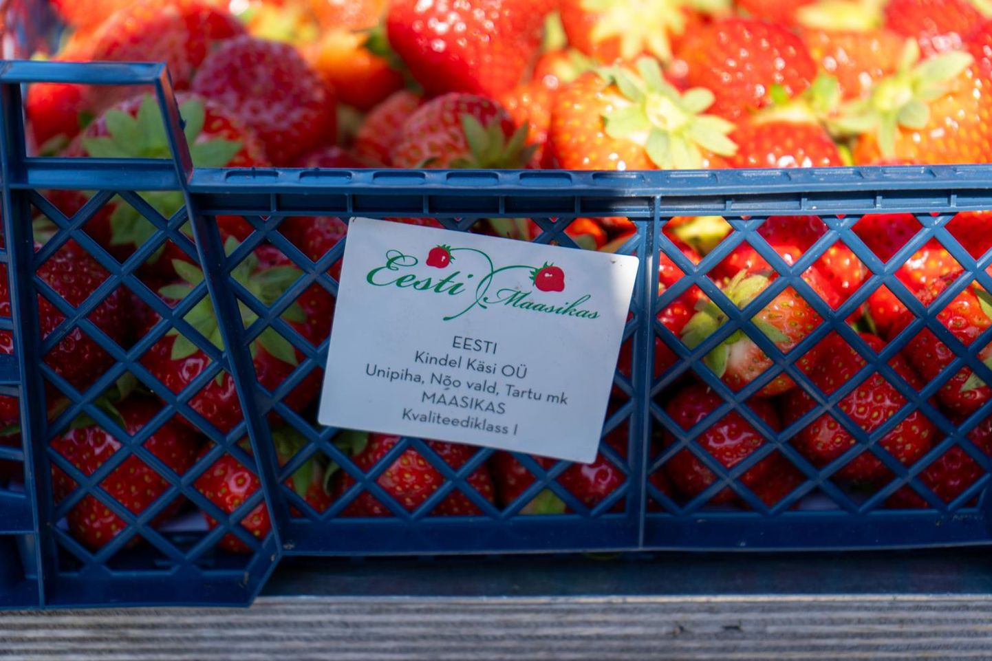 На Вильяндиском рынке продавалсь клубника, якобы произведенная компанией Kindel Käsi. В действительности компания не имела к этим ягодам отношения.