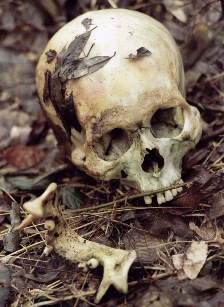 4. aprill 1996: kõik, mis on järel eelmisel suvel Srebrenica langemise järel hukatud moslemimehest või -poisist. Serblaste noorim ohver oli vaid 5-, vanim 94-aastane. Foto: Reuters/Scanpix
