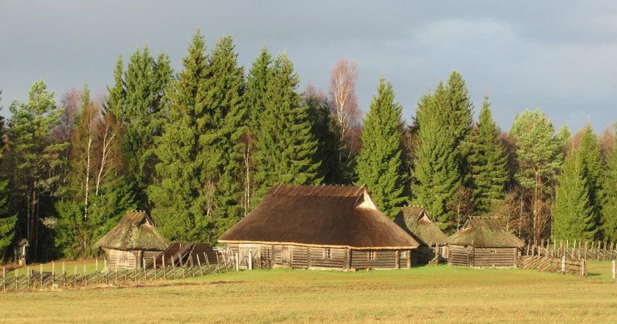 Tammsaare muuseumis saab uudistada illustratsioonide näitust