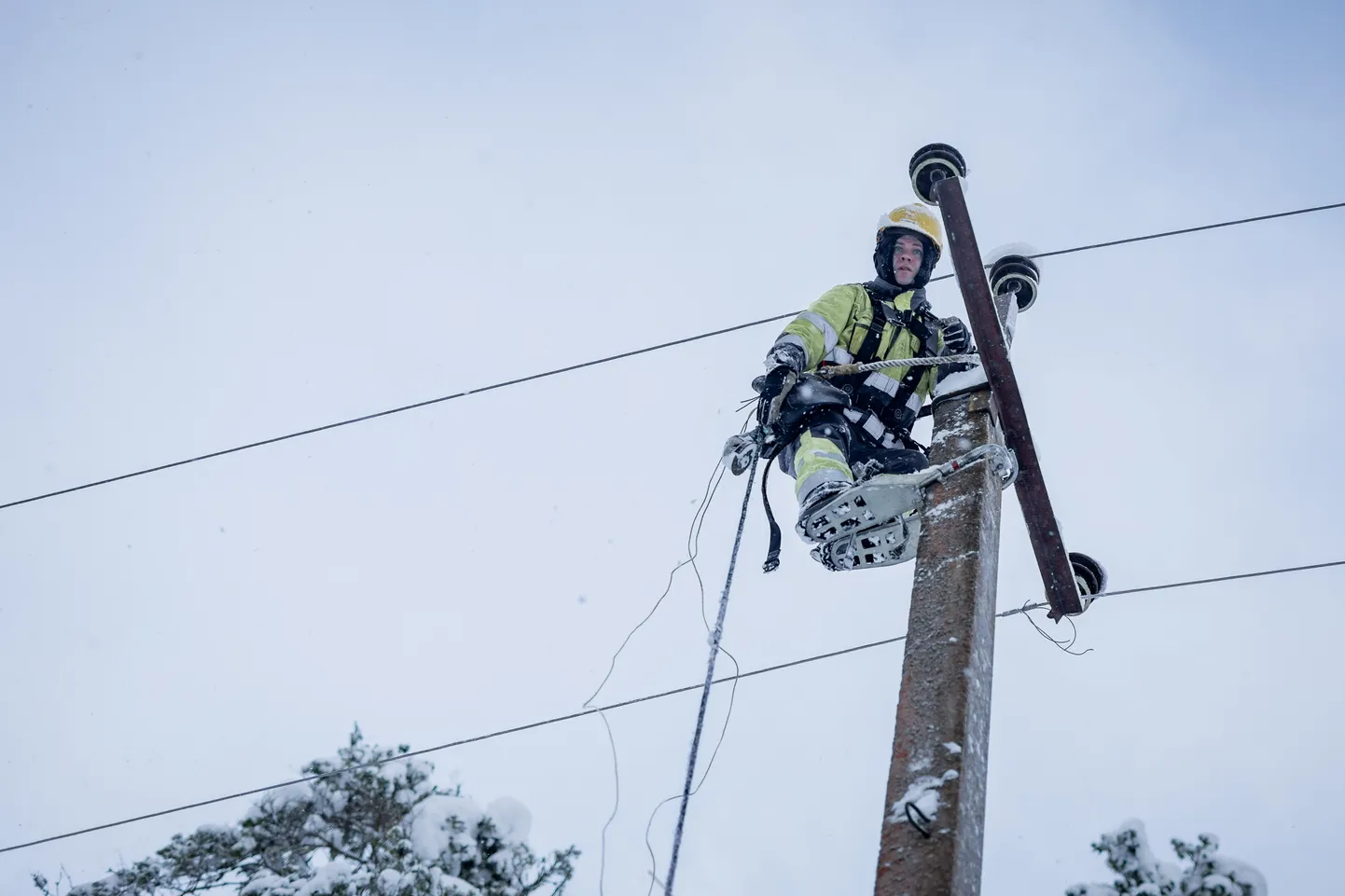 Saaremaa Vallavalitsus soovib, et riik suunaks täiendavaid investeeringuid Saaremaa elektrivõrgu ilmastikukindlamaks muutmisele. Foto on illustreeriv.