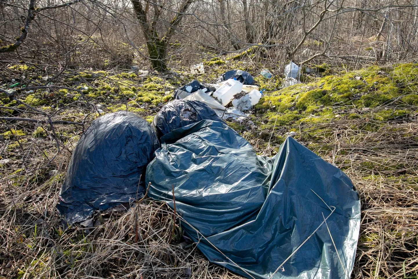 Prügihunnik metsa all.