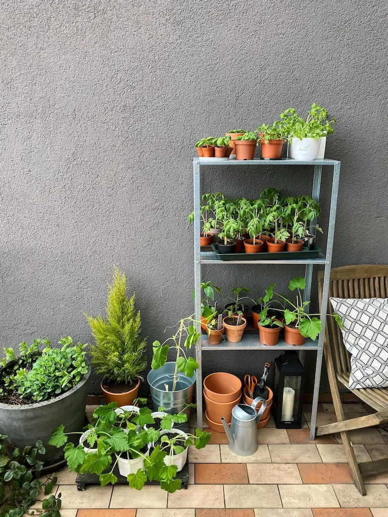 Ievas Reinholdes balkons