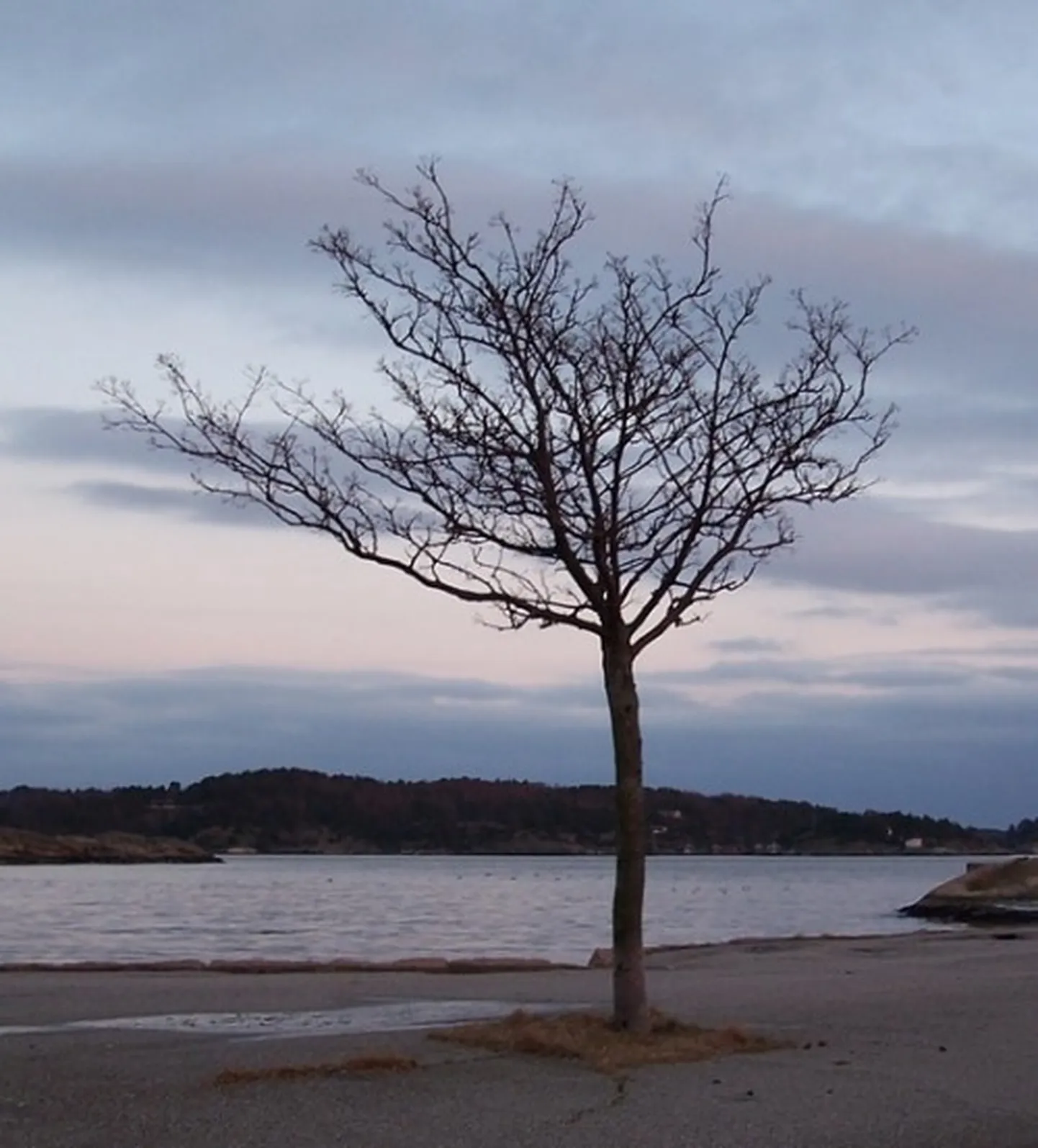 Raksta foto