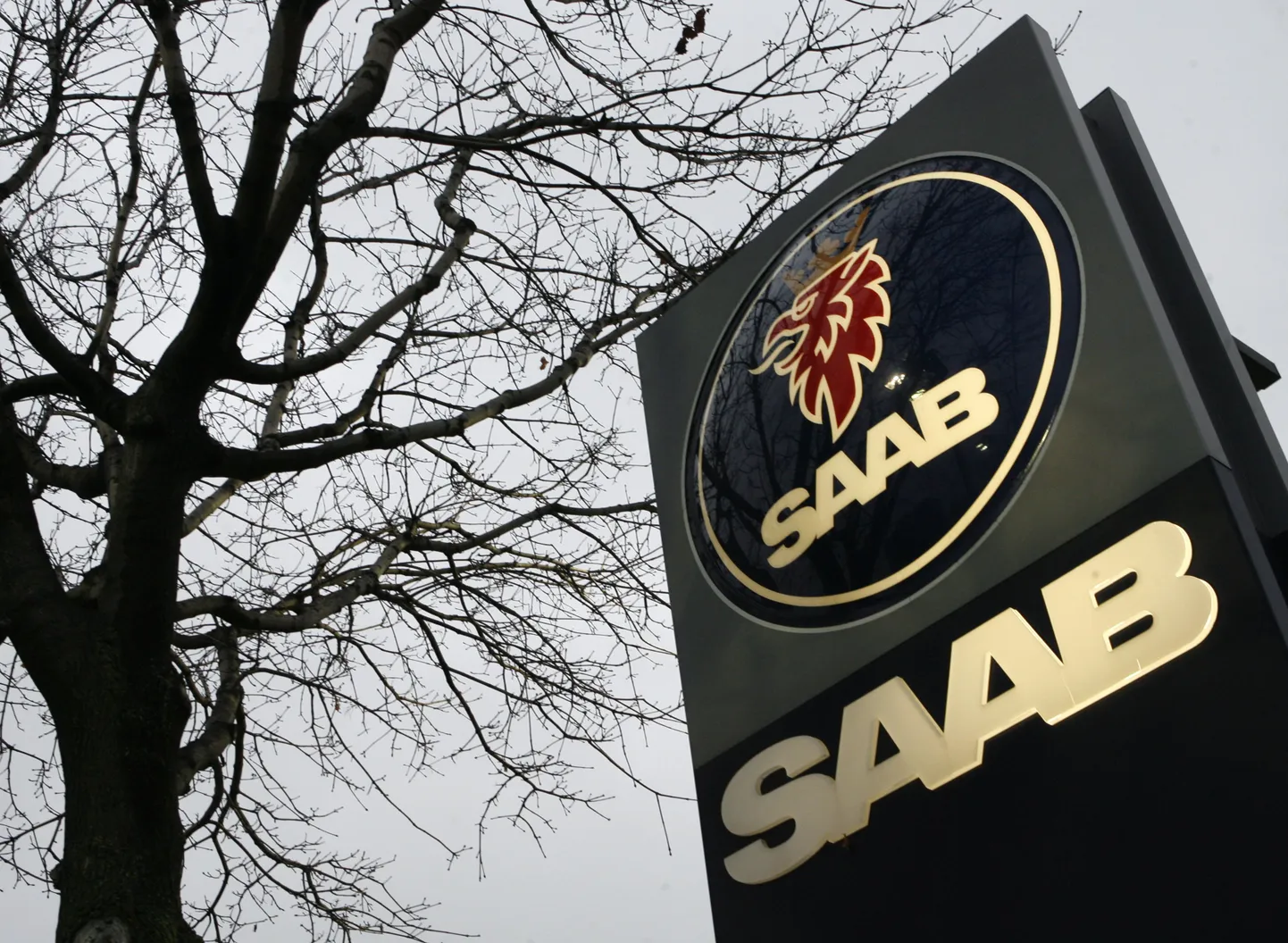 Saabi logo