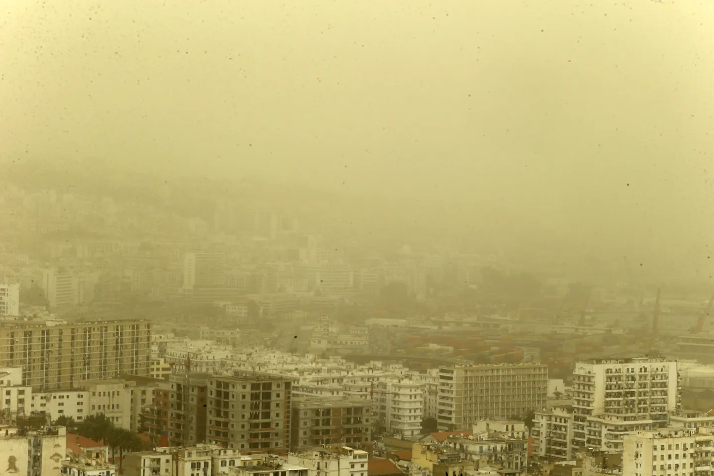 Пылевое облако накрыло Алжир.