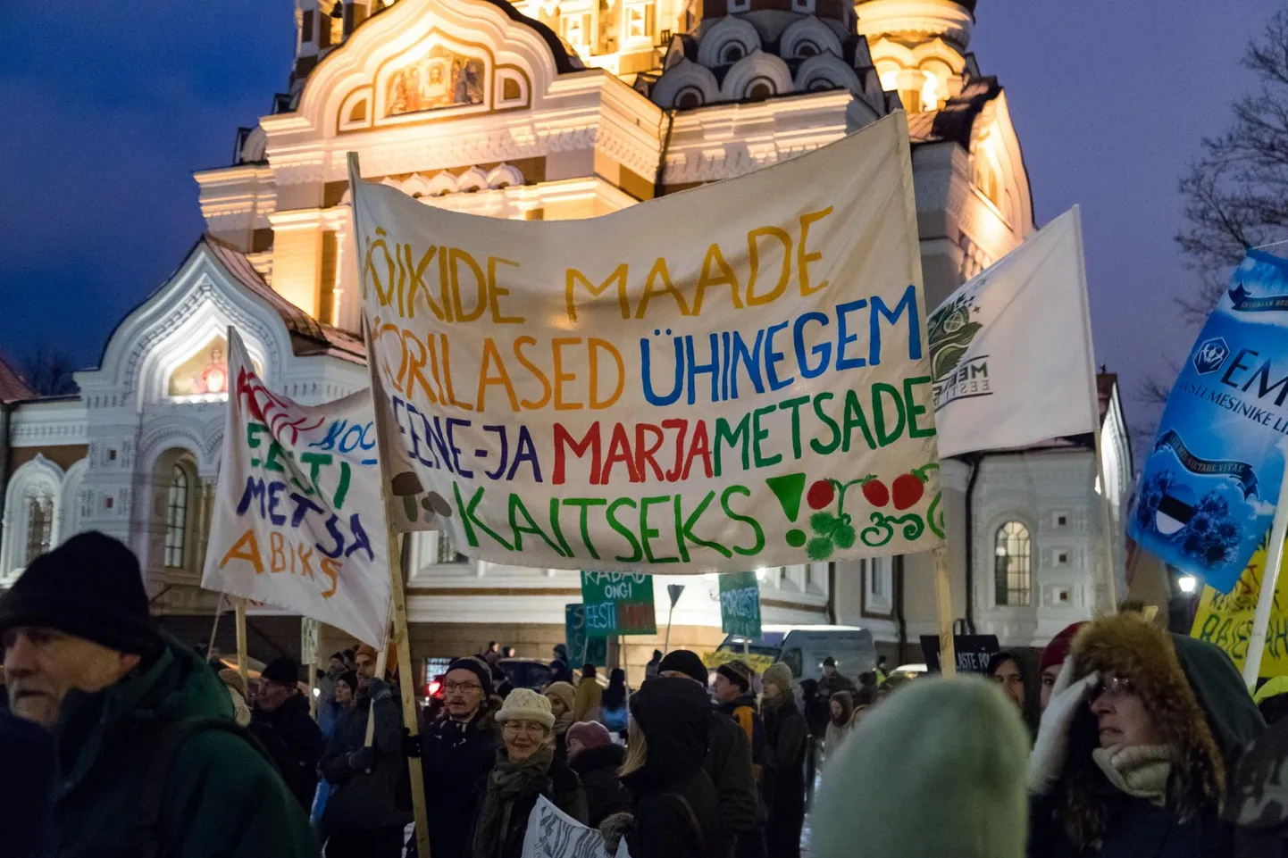 Aastatagune meeleavaldus ja rongkäik Eesti metsa abiks.