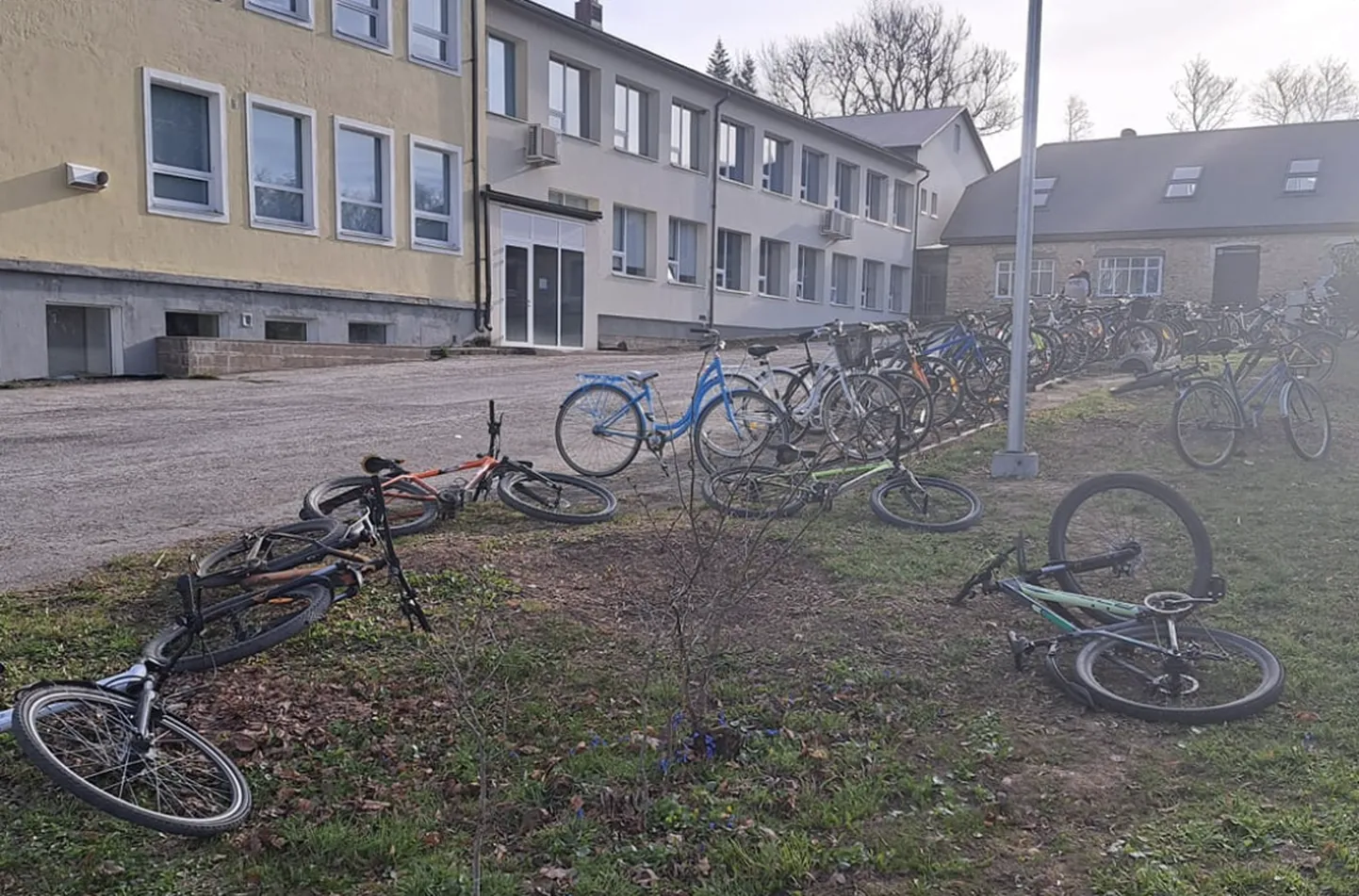 Järva-Jaani lapsed tulevad rõõmuga ratastel kooli, kuid kooli juures võiks olla rohkem rattaparkla kohti.
