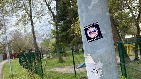 ФОТО ⟩ «Свинство какое-то!»: поросенок в цветах российского триколора возмутил жительницу Таллинна