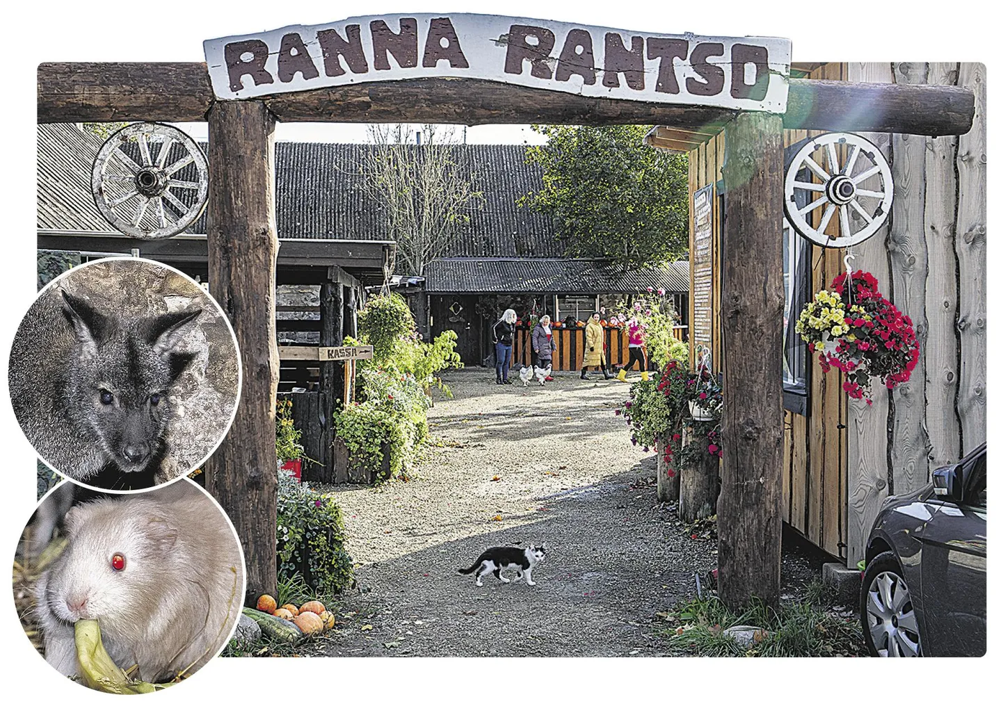 Ranna Rantšo targad loomad on vaatamist väärt.